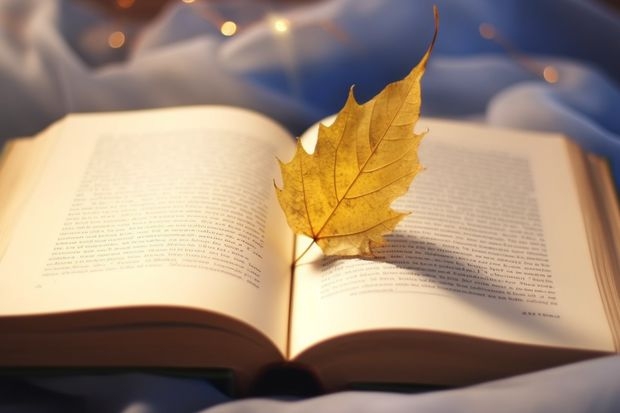 上海科学技术职业学院情况介绍 上海科学技术职业学院专业和分数线