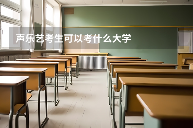 声乐艺考生可以考什么大学