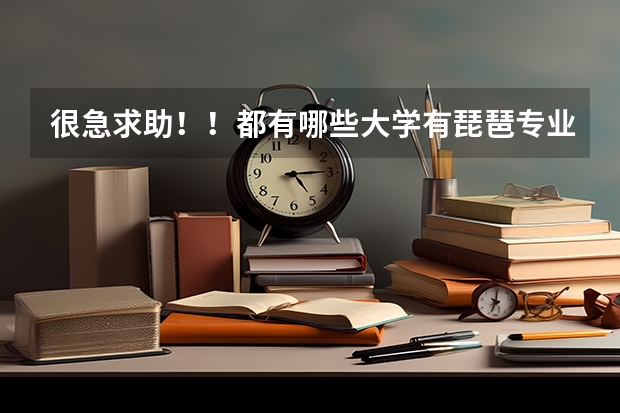 很急求助！！都有哪些大学有琵琶专业（除音乐学院类的）追加200分