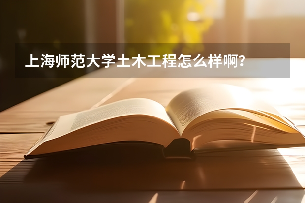 上海师范大学土木工程怎么样啊？