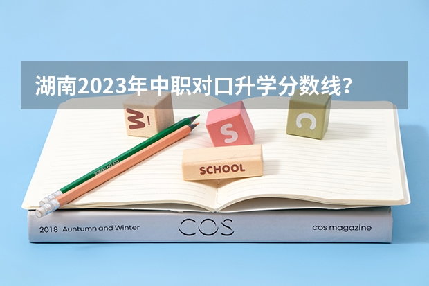 湖南2023年中职对口升学分数线？ 长沙职业技术学院单招录取线