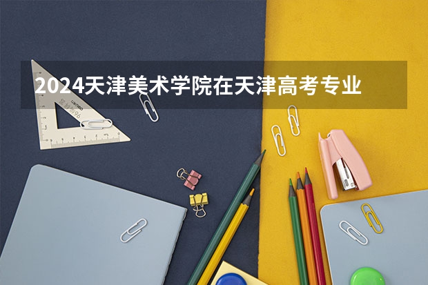 2024天津美术学院在天津高考专业招生计划人数预测