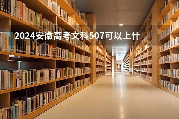 2024安徽高考文科507可以上什么大学