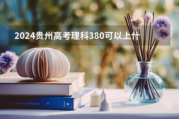 2024贵州高考理科380可以上什么大学