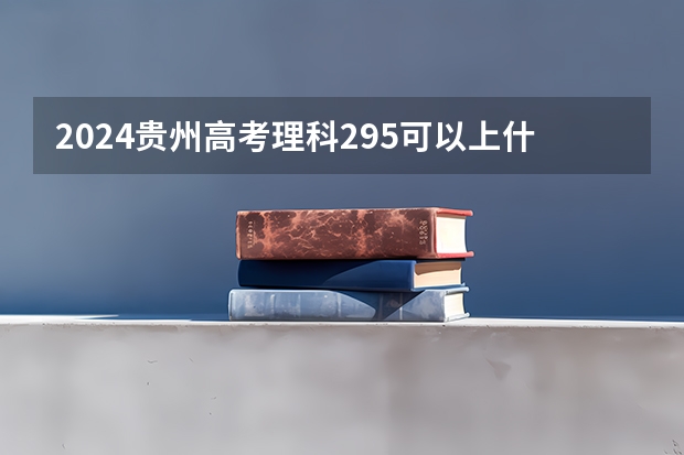 2024贵州高考理科295可以上什么大学