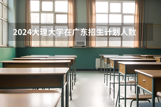 2024大理大学在广东招生计划人数