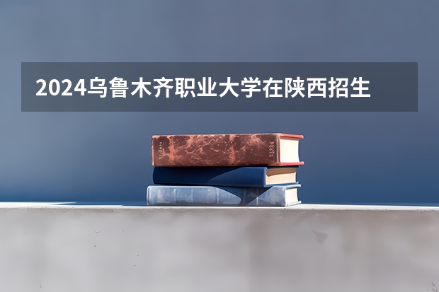 2024乌鲁木齐职业大学在陕西招生计划人数