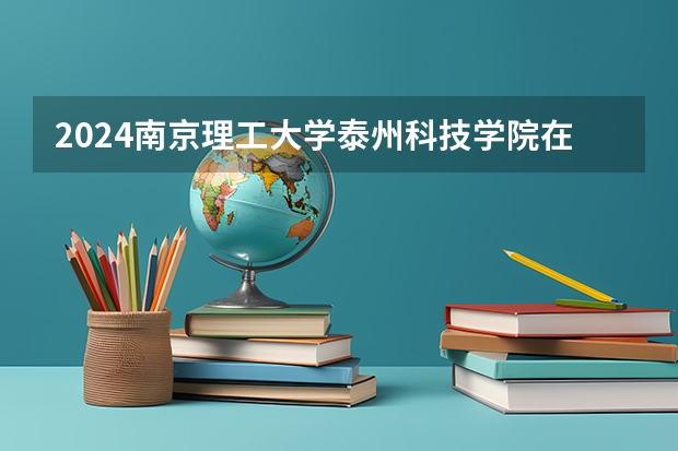 2024南京理工大学泰州科技学院在广东招生计划人数