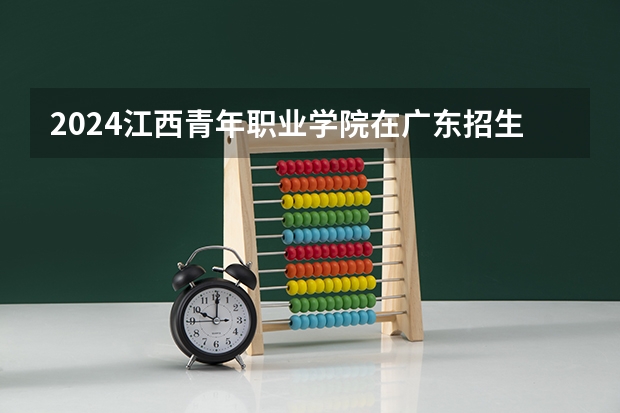 2024江西青年职业学院在广东招生计划人数