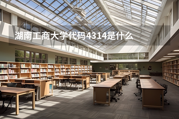 湖南工商大学代码4314是什么