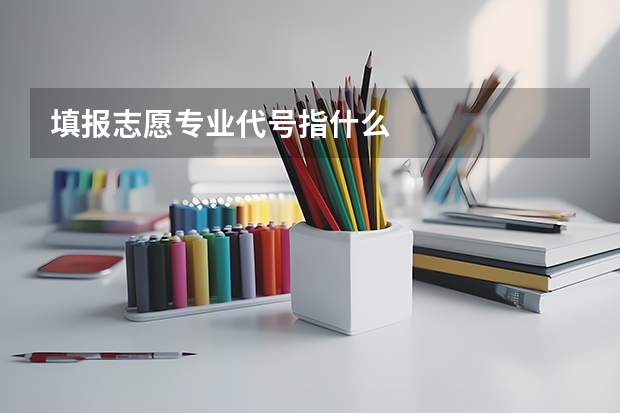 填报志愿专业代号指什么
