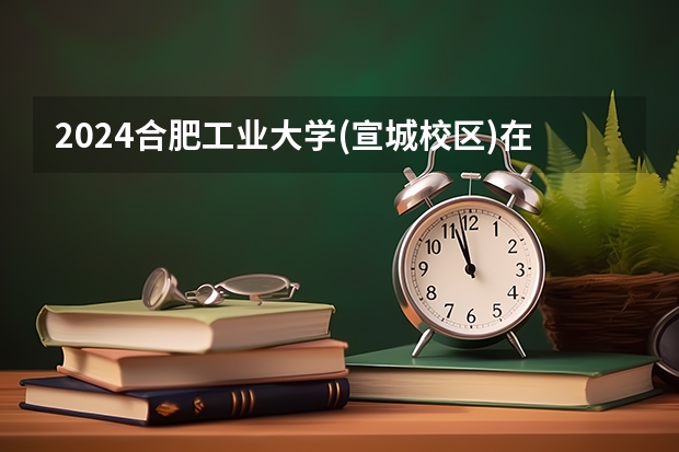 2024合肥工业大学(宣城校区)在河南招生计划人数