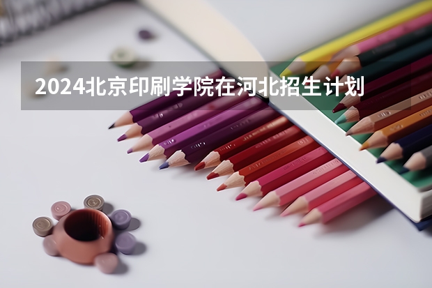 2024北京印刷学院在河北招生计划人数