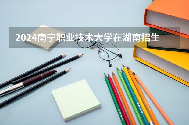2024南宁职业技术大学在湖南招生计划人数