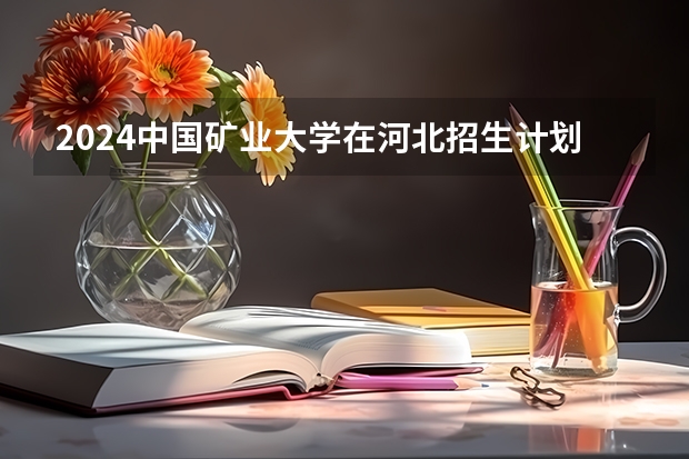 2024中国矿业大学在河北招生计划人数