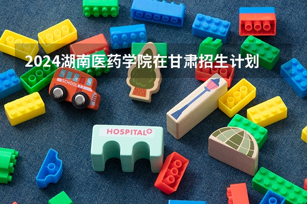 2024湖南医药学院在甘肃招生计划人数