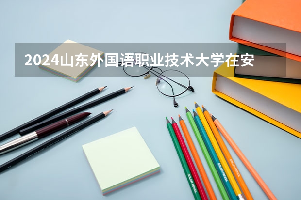 2024山东外国语职业技术大学在安徽招生计划人数
