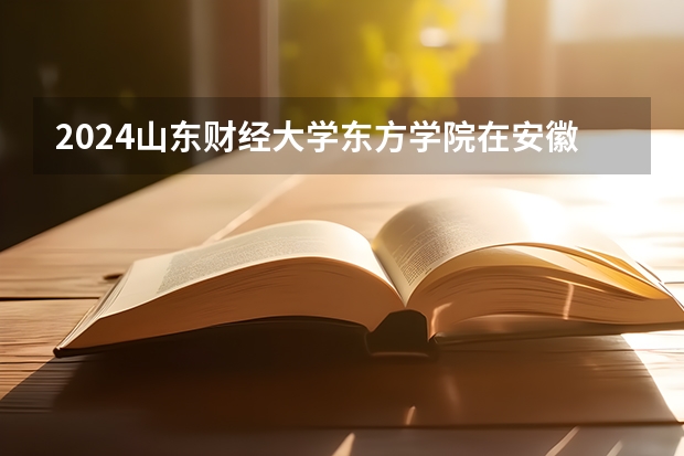 2024山东财经大学东方学院在安徽招生计划人数