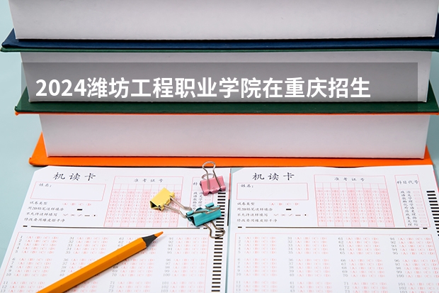 2024潍坊工程职业学院在重庆招生计划人数
