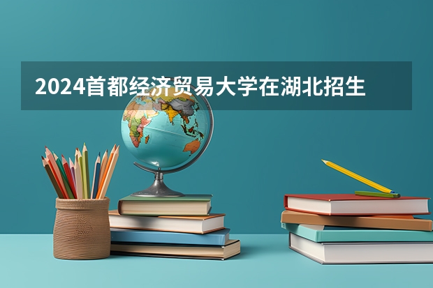 2024首都经济贸易大学在湖北招生计划人数