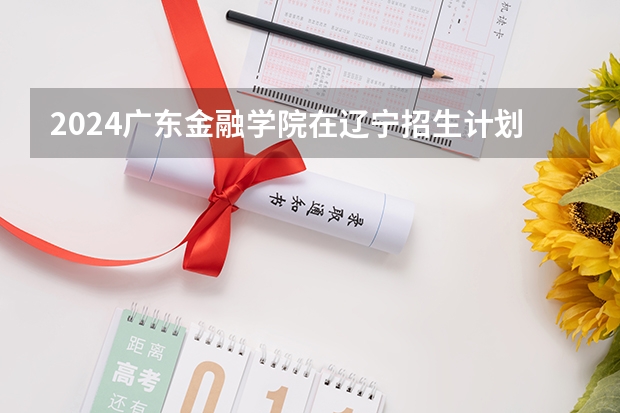 2024广东金融学院在辽宁招生计划人数