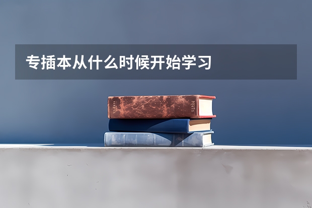 专插本从什么时候开始学习