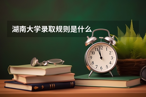 湖南大学录取规则是什么