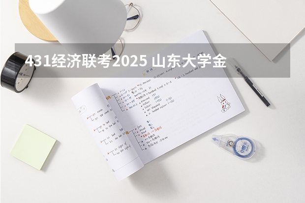 431经济联考2025 山东大学金融专硕备考经验分享，2025届山大金融硕士考研备考，山东大学金融431