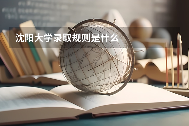 沈阳大学录取规则是什么