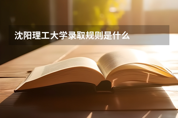 沈阳理工大学录取规则是什么